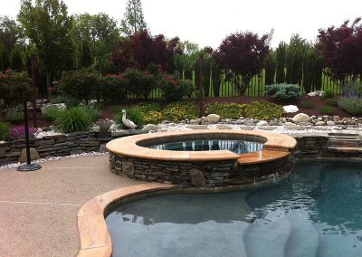 landscaping-holly-days-horsham-ambler-bucks-montgomery-county-pool-landscape-poolscapes-3
